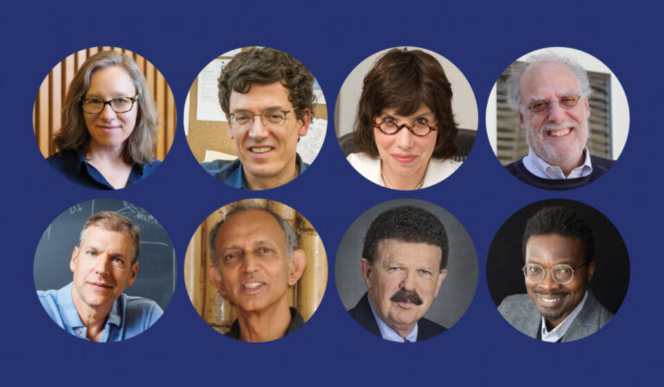 new UC National Academy of Sciences members